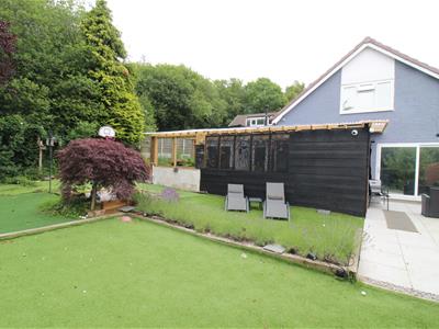 Picture 15
